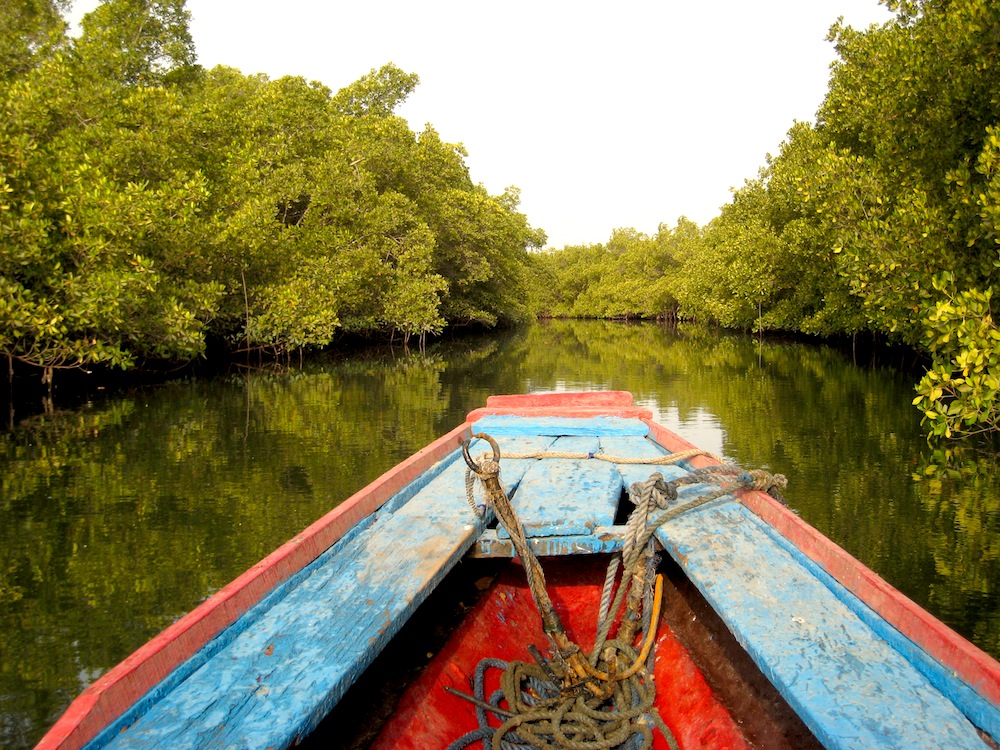 Senegal - Senegal avril 209