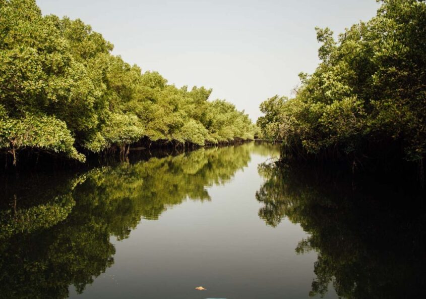 Delta du Sine-Saloum Senegal