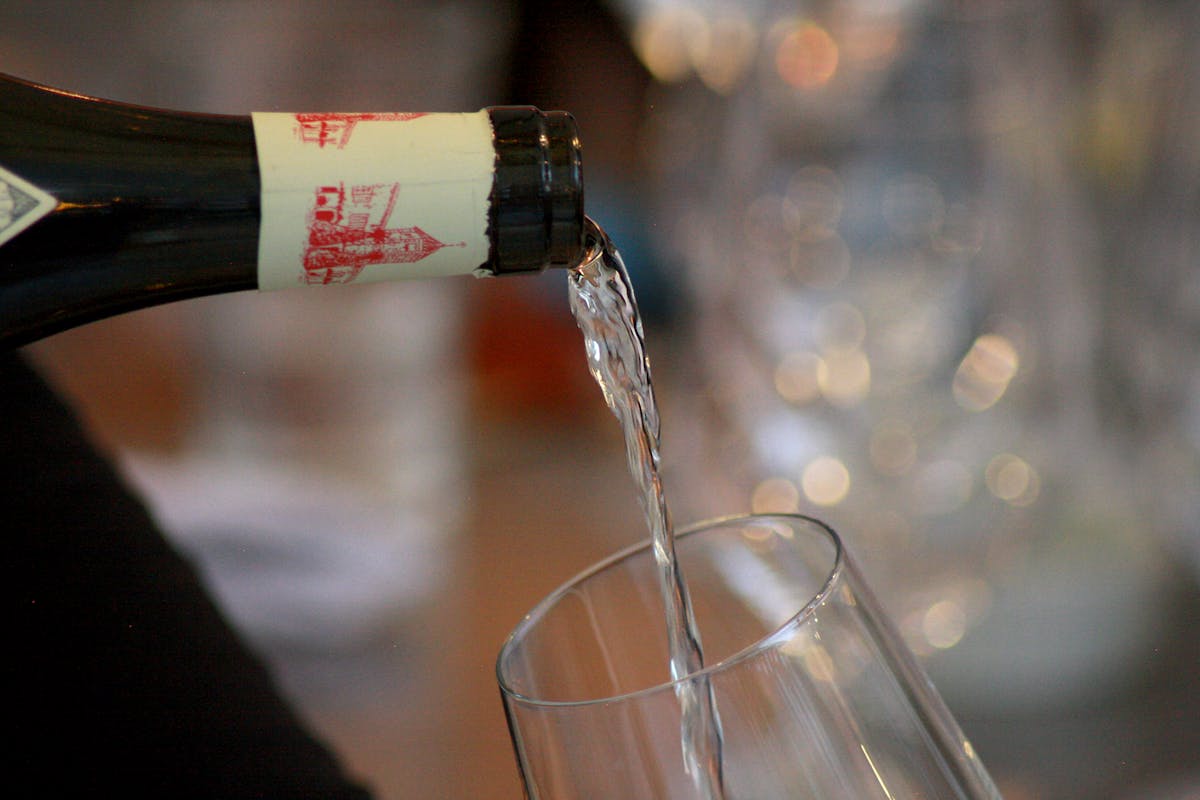 Oiseaux migrateurs dans les mangroves du Delta