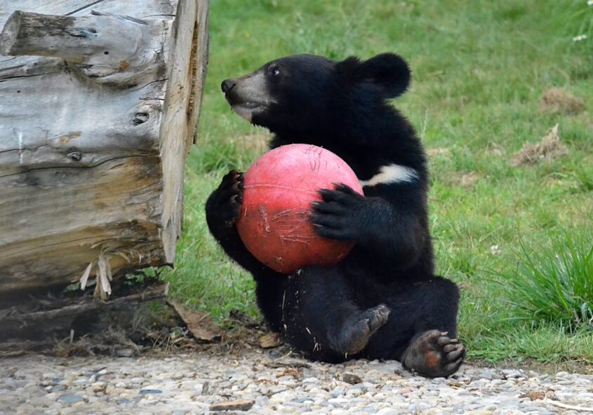 Mangroves et bolongs du Delta du Saloum au Sénégal