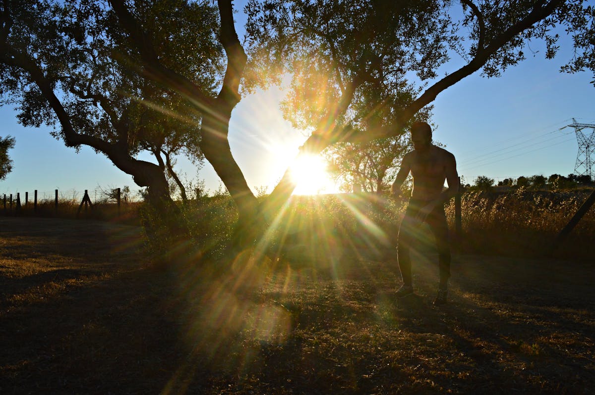 Monument de la Renaissance africaine à Dakar