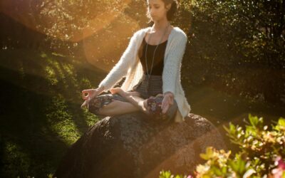 Paysage naturel du Sénégal, savane et arbres