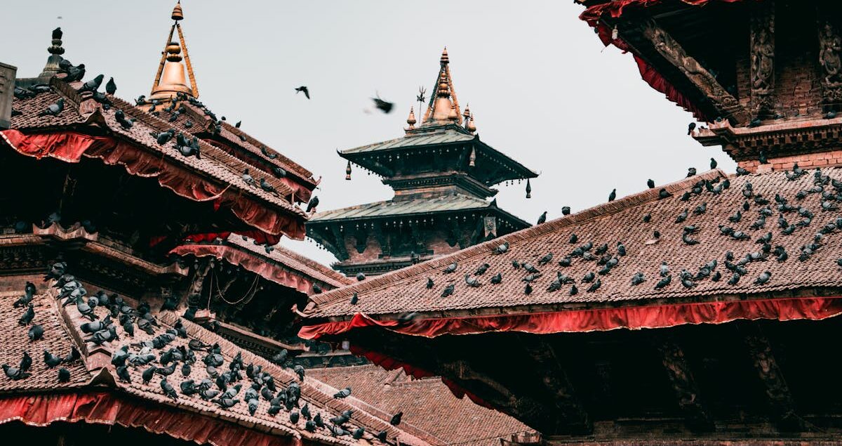 Architecture coloniale de Saint-Louis patrimoine UNESCO
